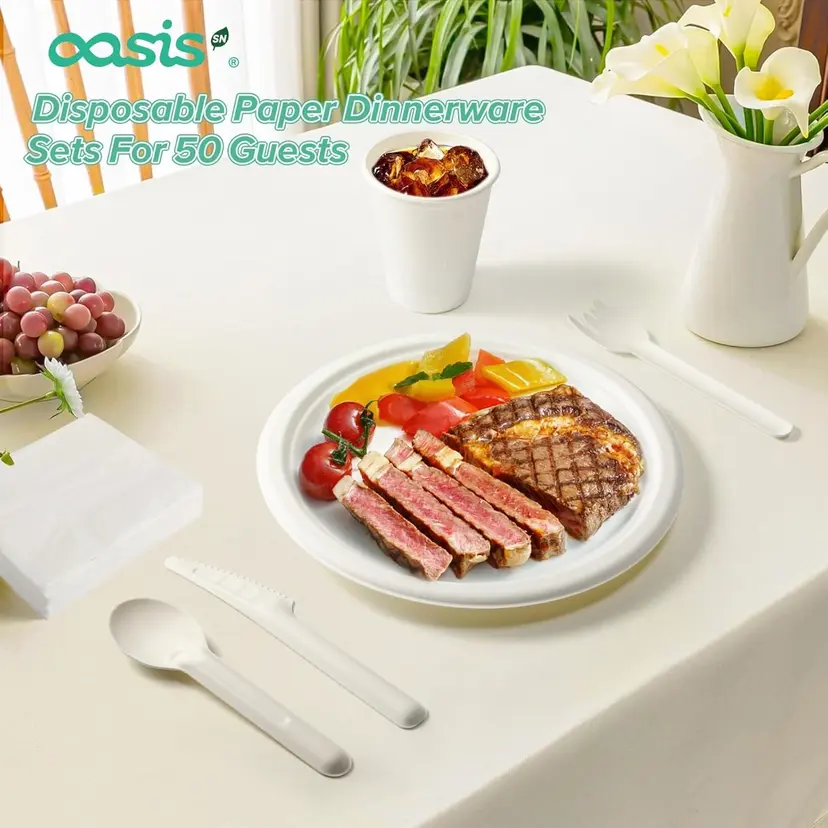 OASIS 環保餐具套裝 350件裝