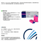 Zarys Safelance 21G x 2.4mm Safety Lancet 100pcs/box | Disposable Blood Lancet
