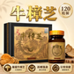 Antrodia Camphorata Capsules 120 Capsules
