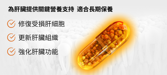 Esseliv Max 護肝膠囊 30粒